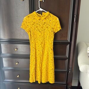 Zara Elegant Yellow Lace Dress